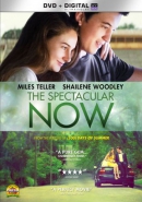 The spectacular now [DVD]