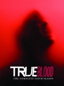 True blood [DVD]. Season 6