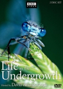 Life in the undergrowth [DVD]