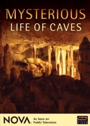 Mysterious life of caves [DVD]