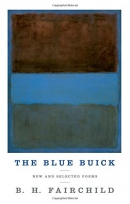 The blue Buick : new and selected poems