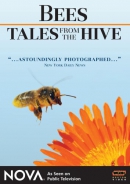 Tales from the hive [DVD]