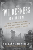 The Wilderness Of Ruin : A Tale Of Madness, Fire, And The Hunt For America's Youngest Serial Killer 