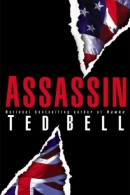 Assassin : a novel