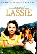 Courage of Lassie [DVD]