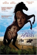Touching wild horses [DVD]
