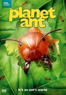 Planet ant [DVD]