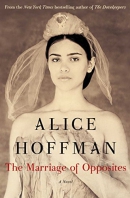 The marriage of opposites : a novel