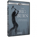 The big burn [DVD]
