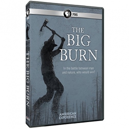 The Big Burn [DVD] 