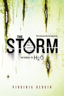 The storm