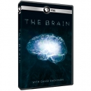 The brain [DVD]