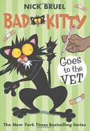 Bad kitty goes to the vet