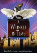 A wrinkle in time [DVD]