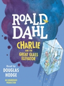 Charlie and the Great Glass Elevator