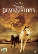 The young black stallion [DVD]