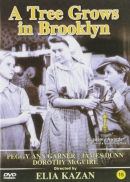 A tree grows in Brooklyn [DVD]