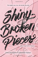 Shiny broken pieces : a tiny pretty things novel