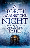 A torch against the night