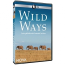 Wild ways [DVD]