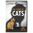 The story of cats [DVD]