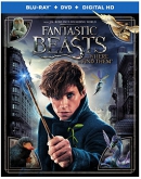 Fantastic beasts and where to find them [Blu-ray]