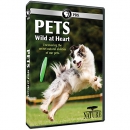 Pets [DVD] : wild at heart