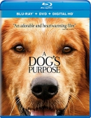 A dog's purpose [Blu-ray]