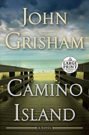 Camino Island [large print]
