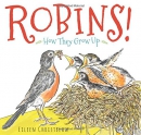 Robins! : how they grow up