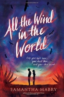 All the wind in the world