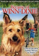 Because of Winn-Dixie [DVD]