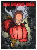 One Punch Man [DVD]. Season 1