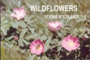 Wildflowers of Iowa woodlands