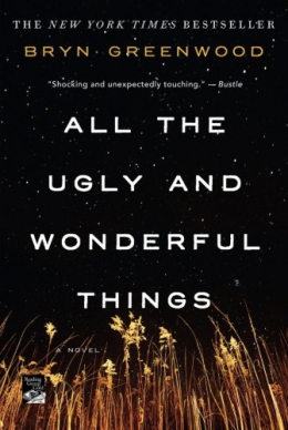 all the ugly and beautiful things book