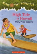 High tide in Hawaii