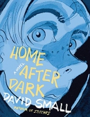 Home after dark : a novel