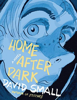 Home After Dark : A Novel 