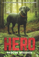 Hero : rescue mission