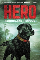 Hero : hurricane rescue