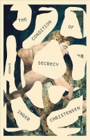 The condition of secrecy : essays