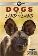 Dogs in the land of lions [DVD]