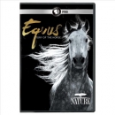 Equus [DVD] : story of the horse