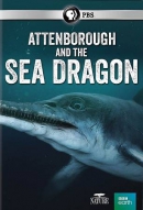 Attenborough and the sea dragon [DVD]