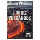 Living volcanoes [DVD]