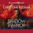Shadow warrior [CD book]