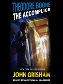 Theodore Boone : the accomplice