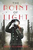 The point of light : a novel