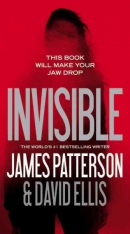 Invisible [large print]