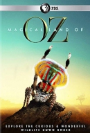 Magical land of Oz [DVD]